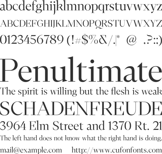 FH Ronaldson Display Test font preview
