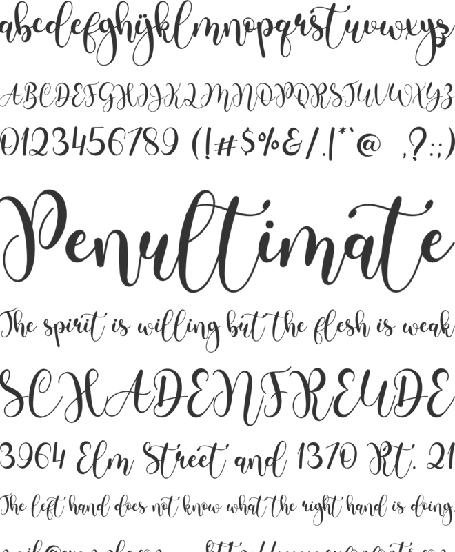 Hamsterkids font preview