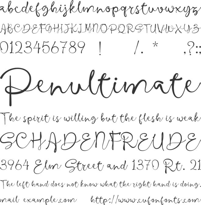 Barona Script font preview