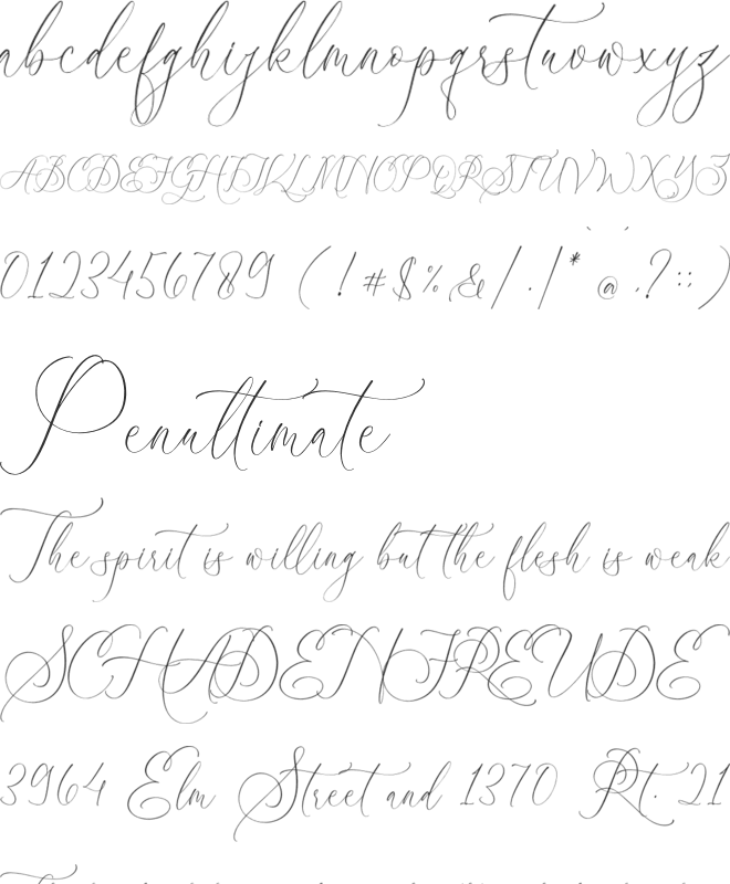 Tropical Qebalon Script font preview