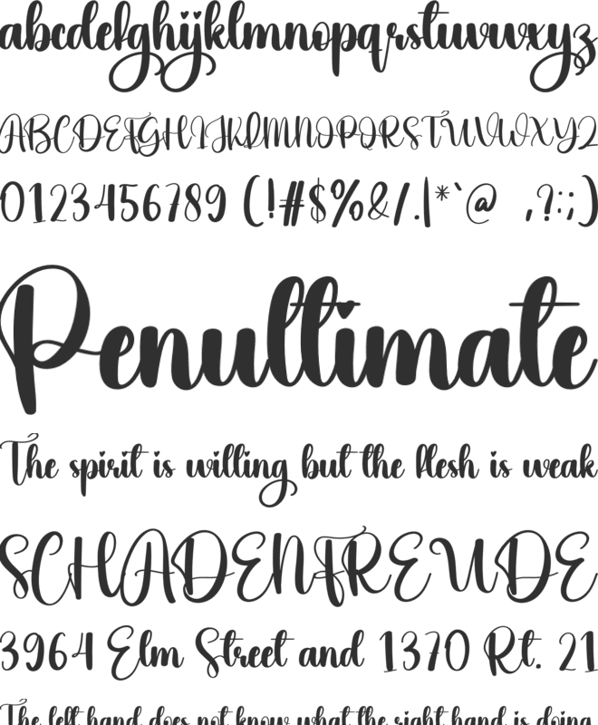 Wedding Night font preview