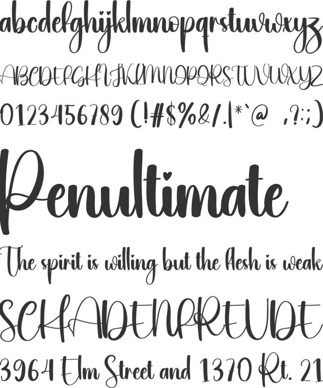 Birthday Night font preview