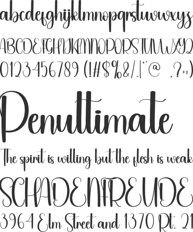 Mustard font preview