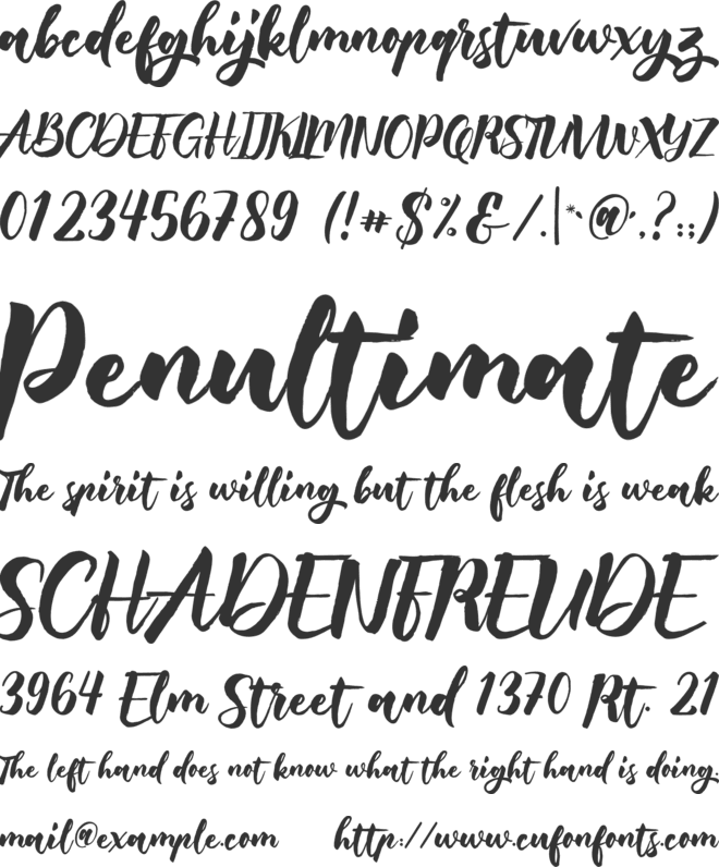 Born Pacific font preview