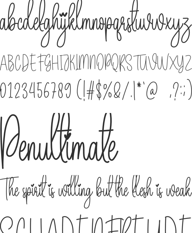 Wedding Package font preview