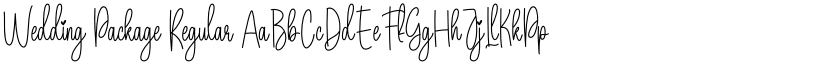 Wedding Package Regular font
