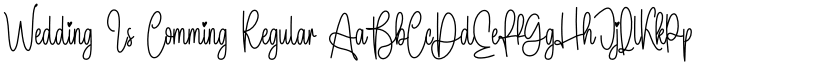 Wedding Is Comming Regular font