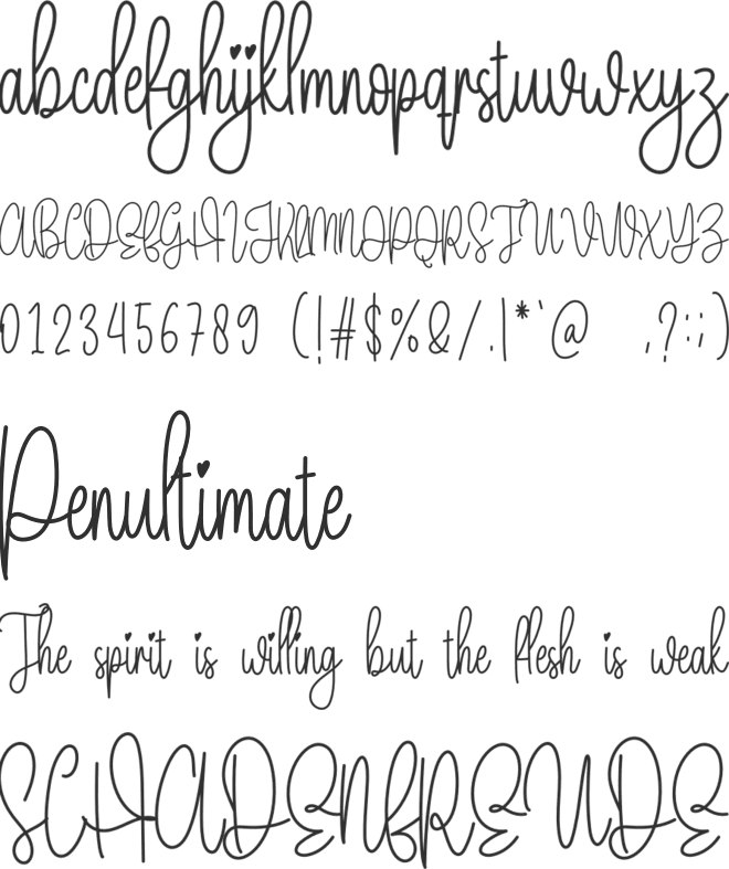 Package font preview