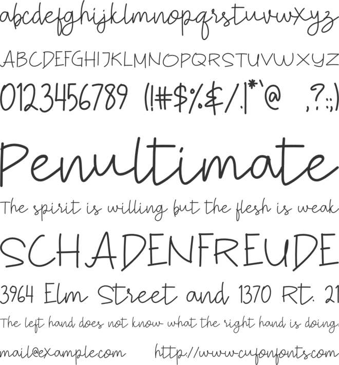 Smart Satriyoe font preview