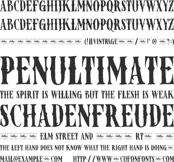 Vintrage Personal Use font preview