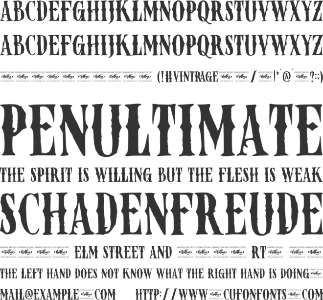 Vintrage Personal Use font preview
