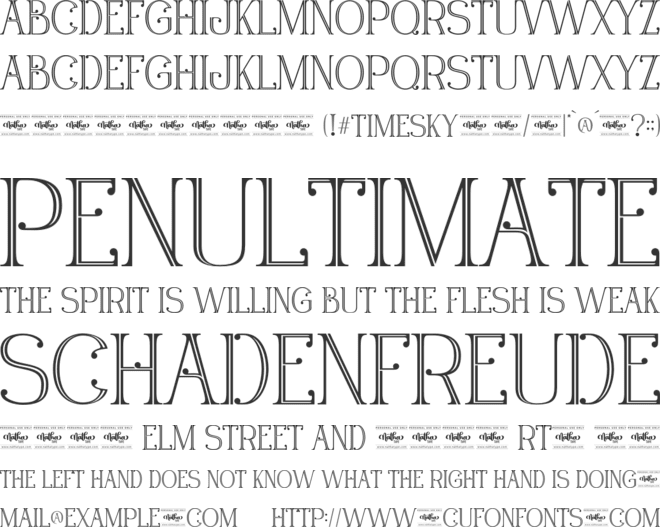 Timesky Personal Use font preview
