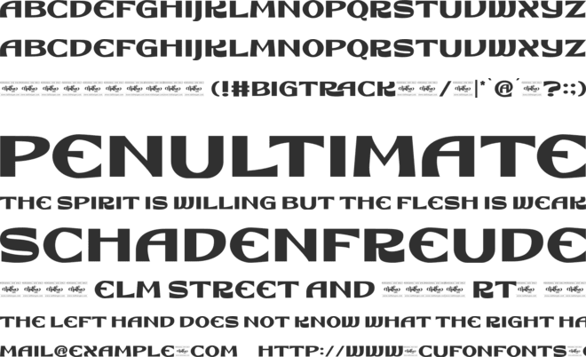 Bigtrack Personal Use font preview