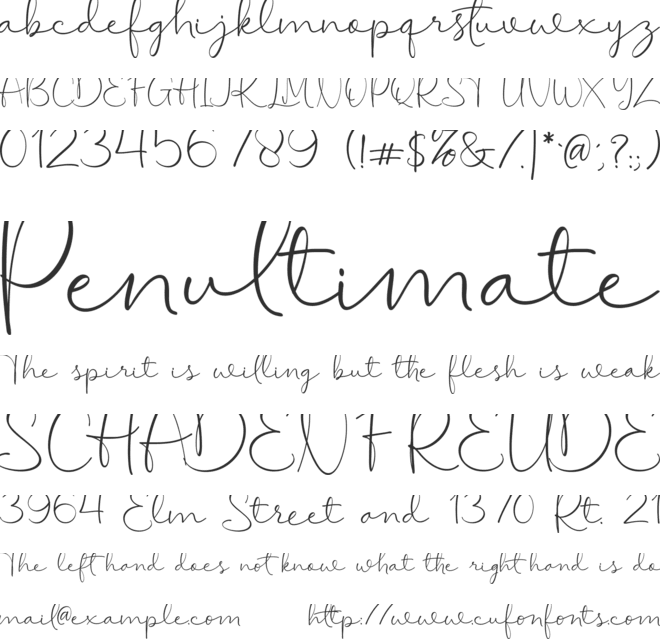 Timeless Wonderland Free font preview