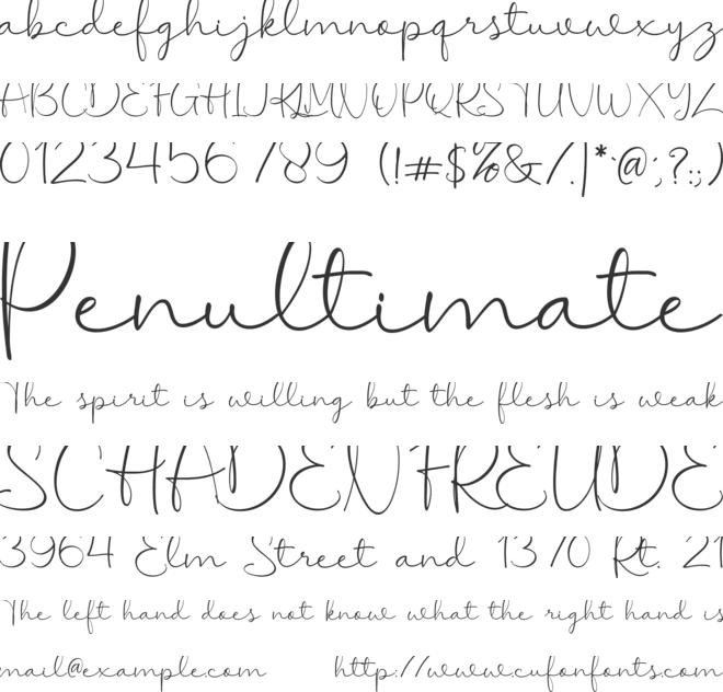Timeless Wonderland Free font preview