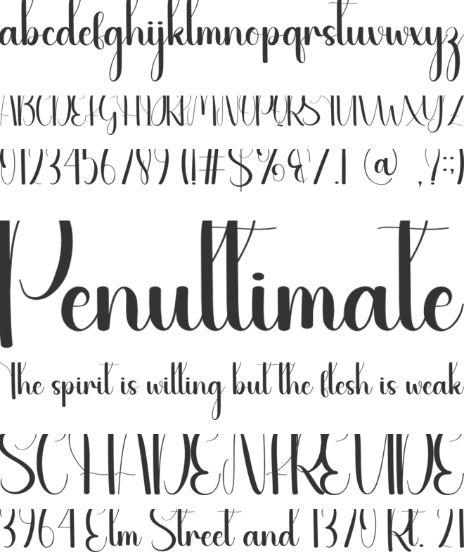 Jellyfish font preview