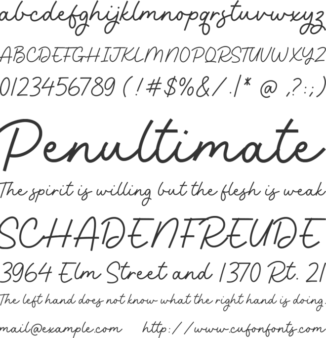 Camelia Beauty font preview