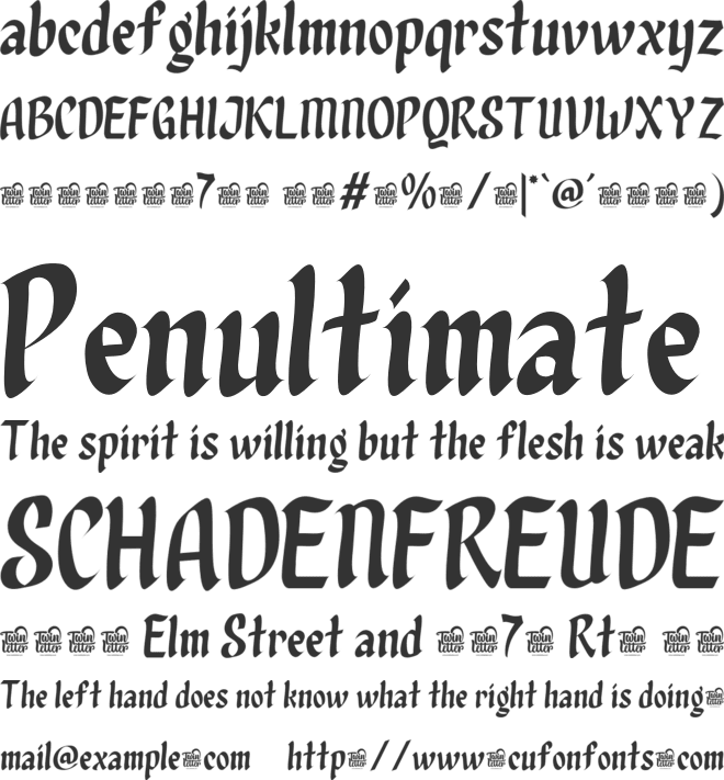 Qixohe Trial font preview