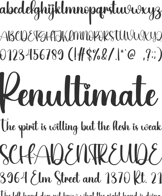 Shiny font preview