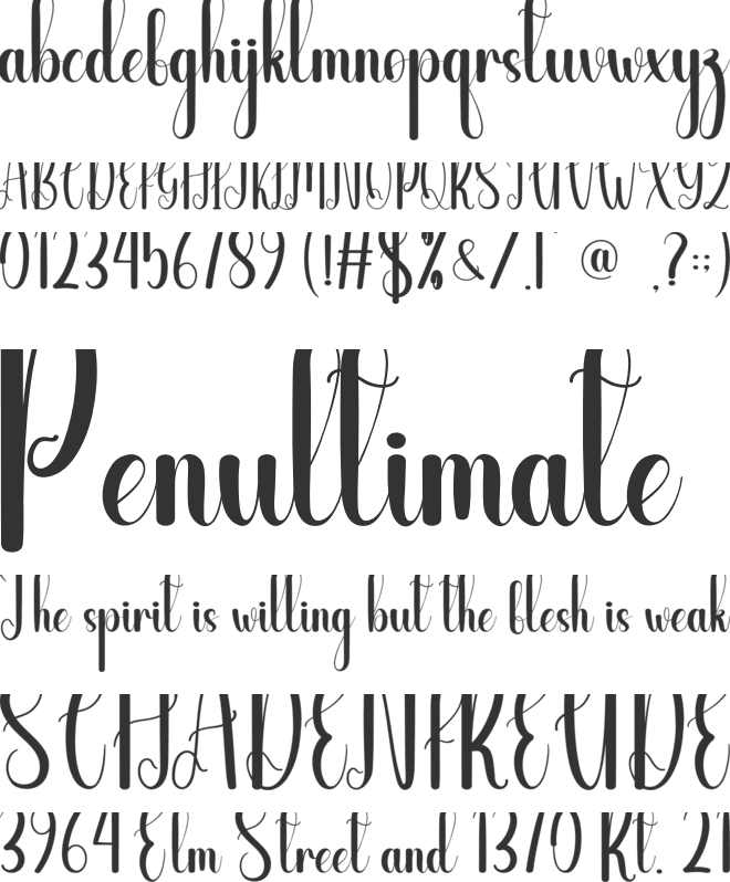 Wedding Reception font preview