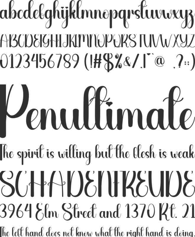 Wedding Ceremony font preview