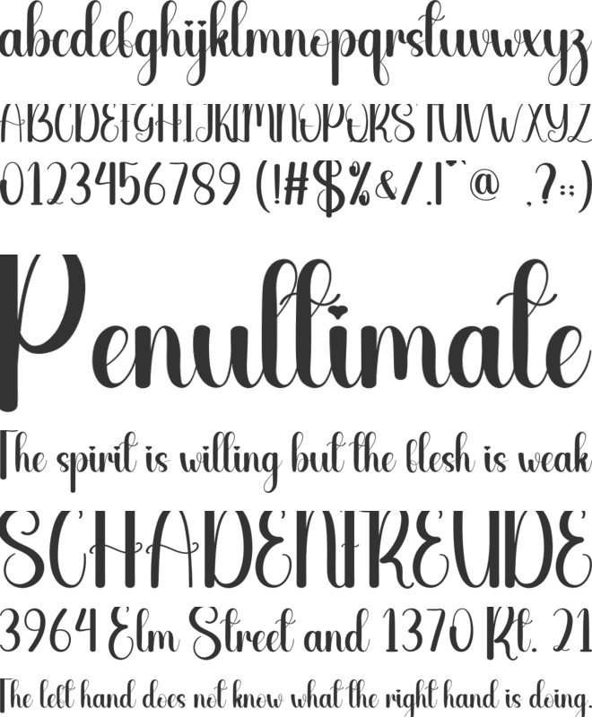 Wedding Ceremony font preview