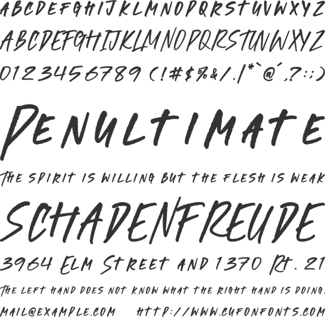 Morbides Junky font preview