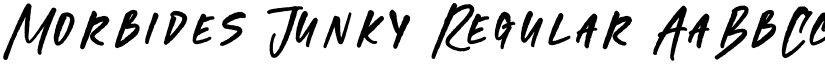 Morbides Junky Regular font
