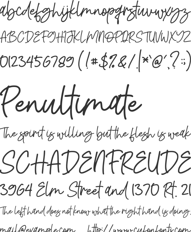 Sidesakey font preview