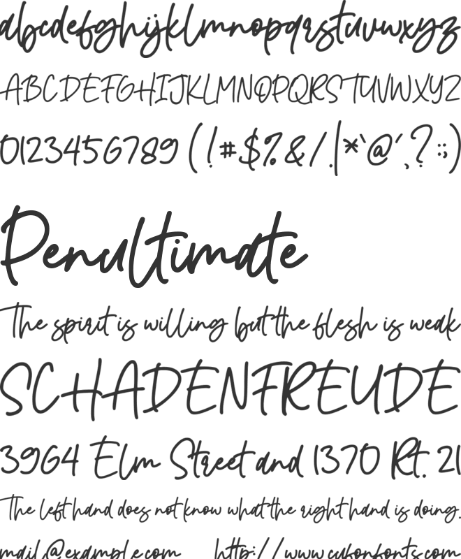 Twenty Night font preview