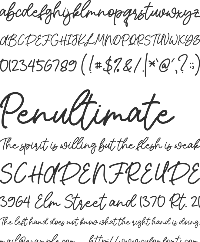 Leynet Script font preview