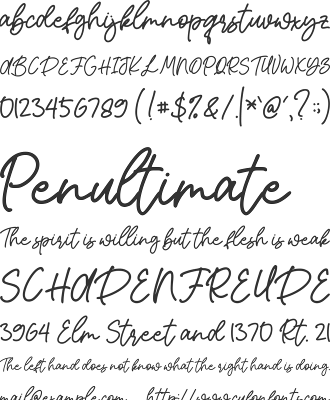 Leynet Script font preview