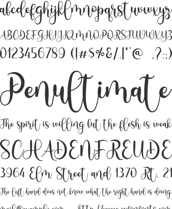 Milestone font preview