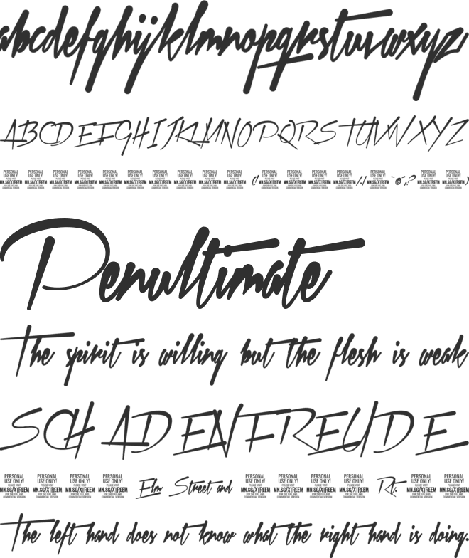 Xtreem Fat PERSONAL USE font preview