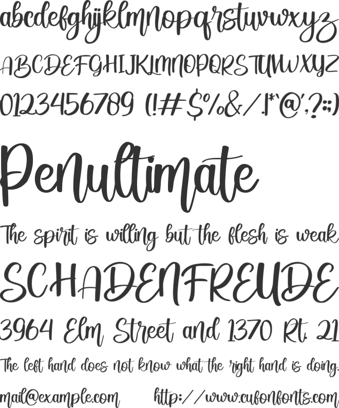 Beauty Flowers font preview