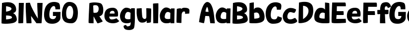 BINGO Regular font