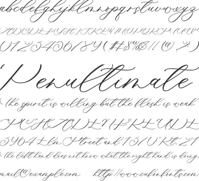 Your Beloved font preview