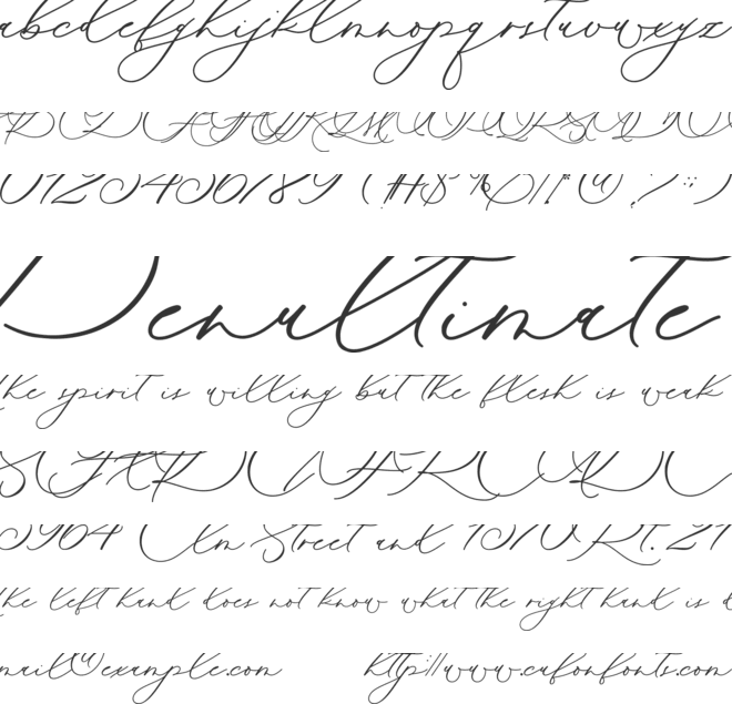 Pretty Rose font preview