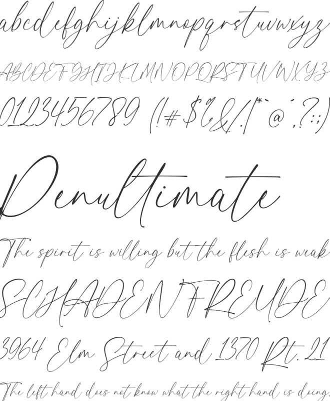 hailey font preview