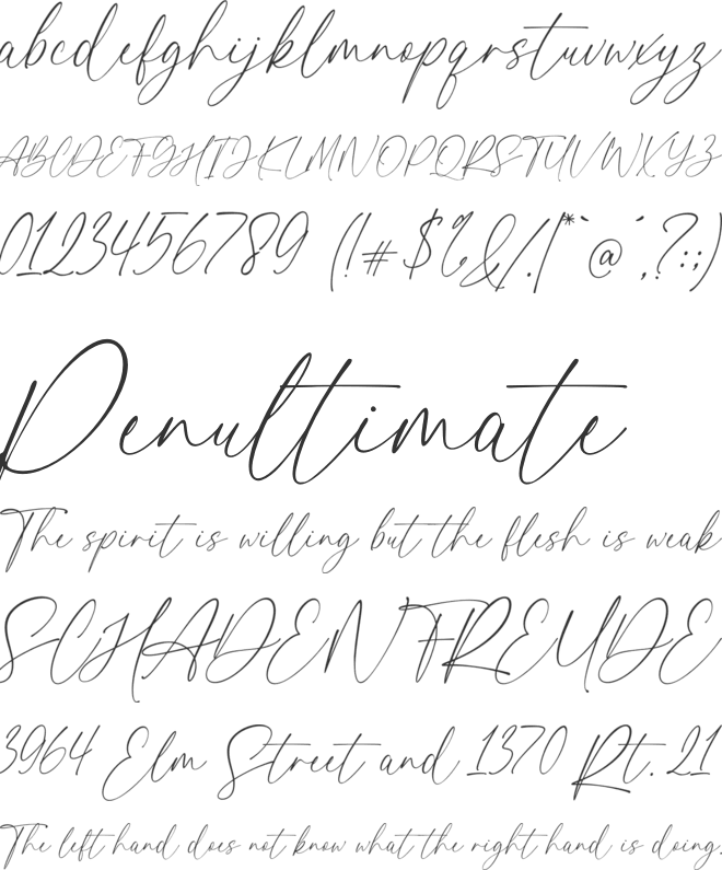 hailey font preview