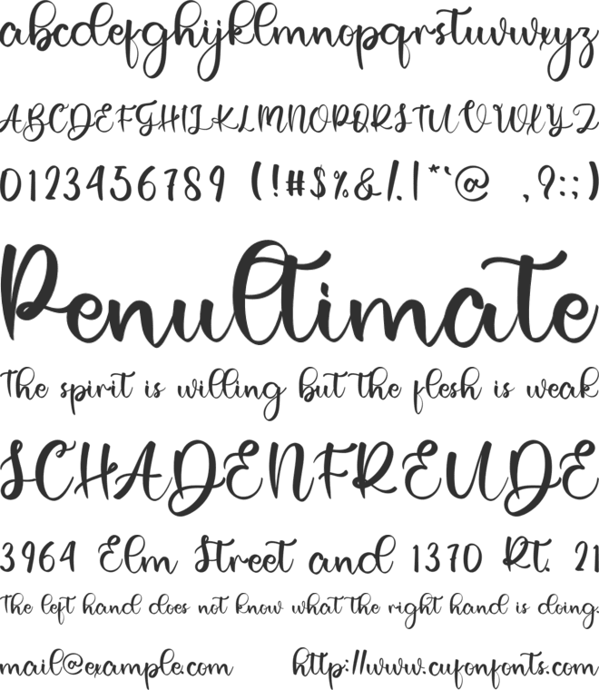 Rustick font preview