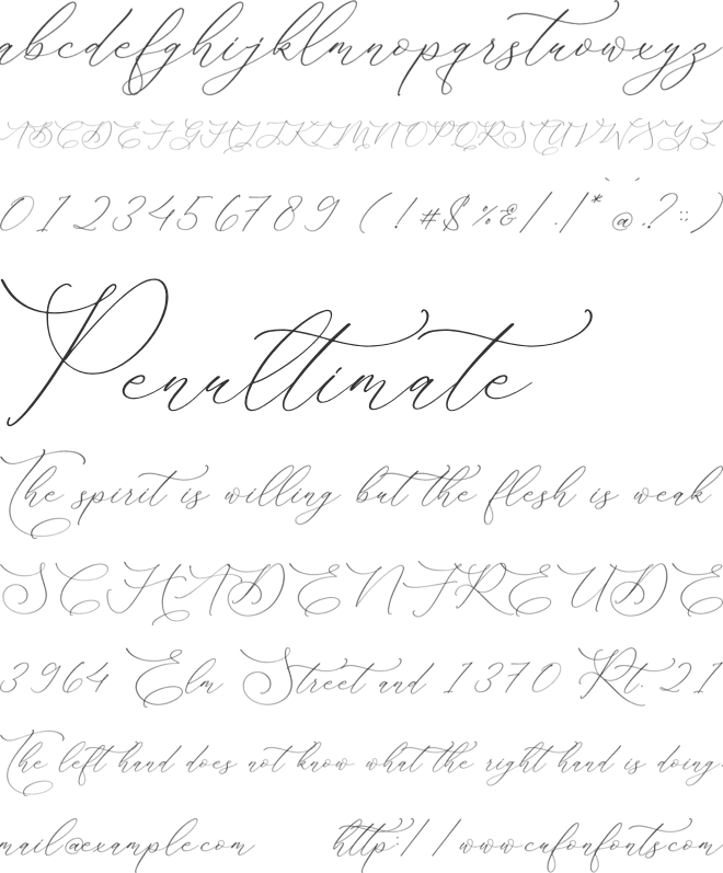 Storyline Regario Script font preview