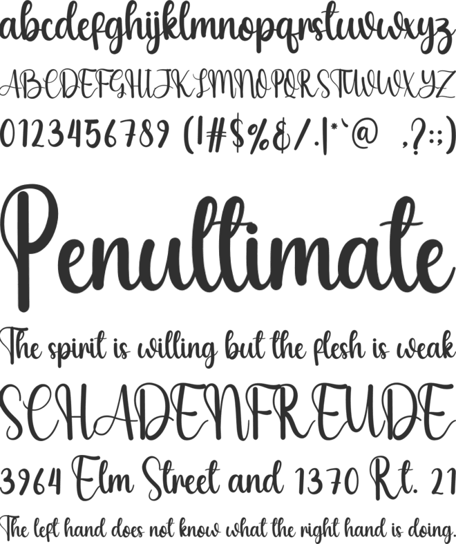 Together Always font preview