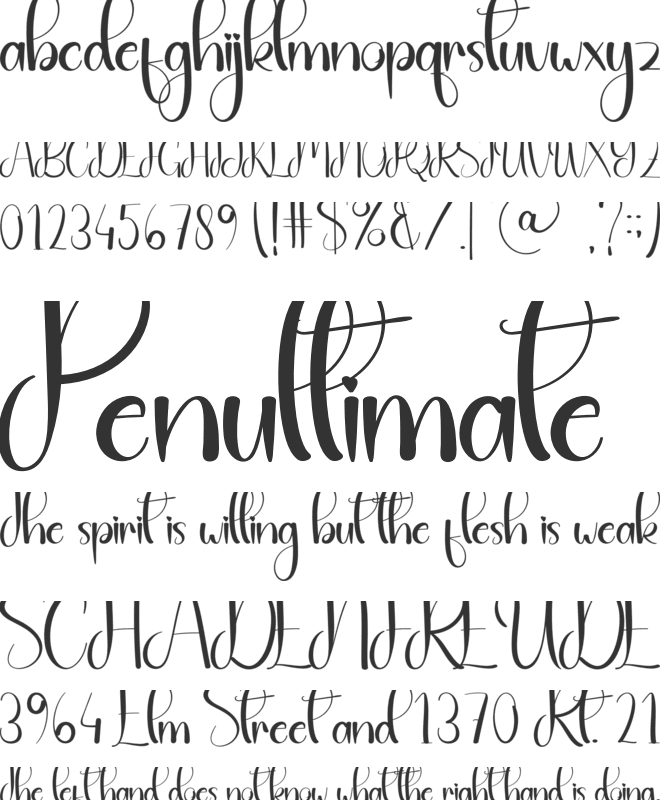 Amster Night font preview