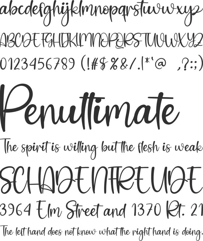 William Christmas font preview
