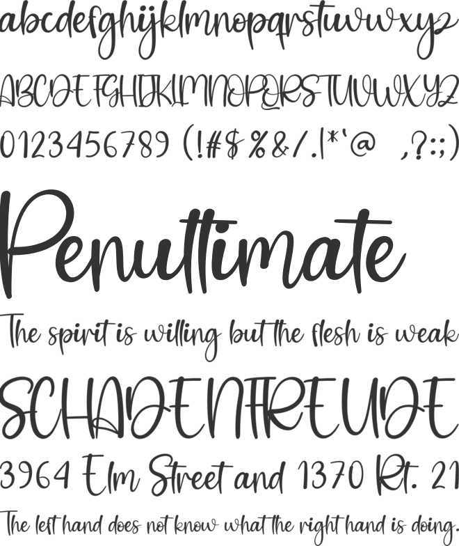 William Christmas font preview