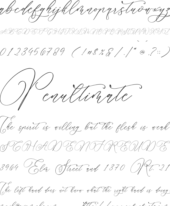 Parmidass Elarista font preview