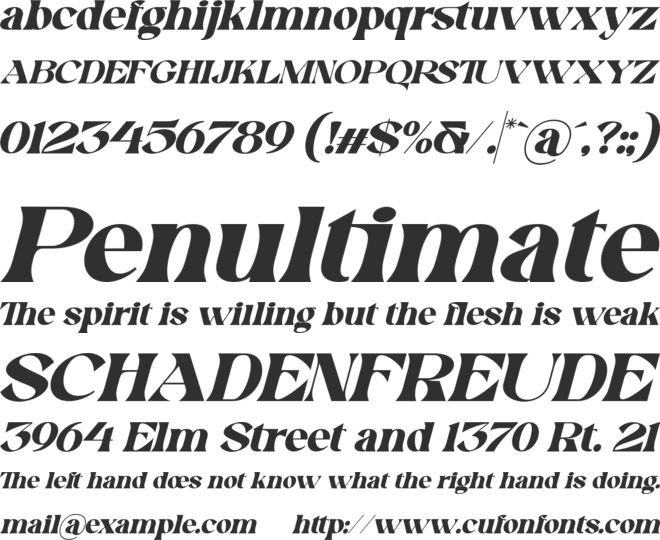 Swomun Serif Slant font preview