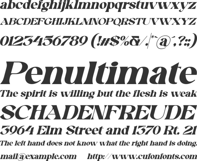 Swomun Serif Slant font preview