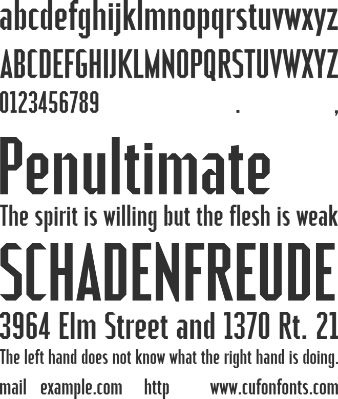 NoExit Octagonal Condensed Test font preview